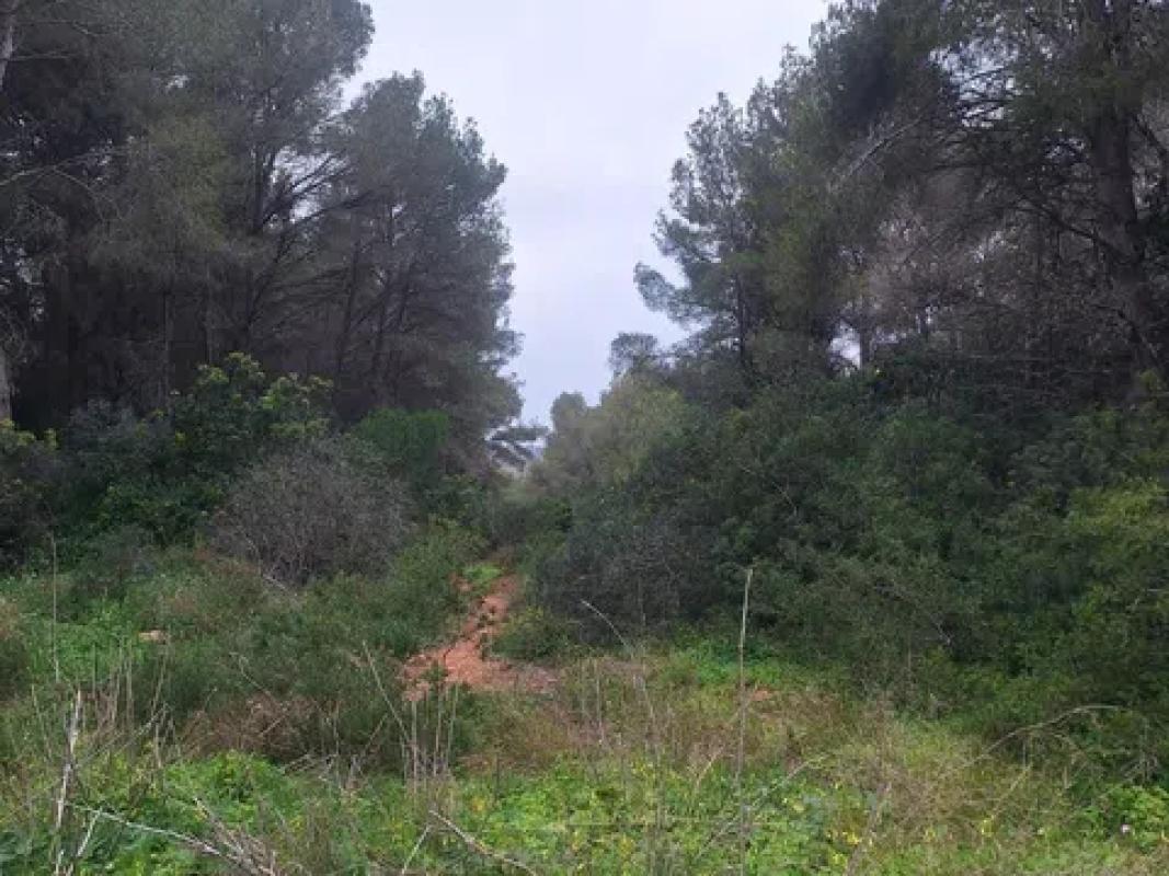 Terreno en venta en Jávea/Xàbia, Alicante photo 5