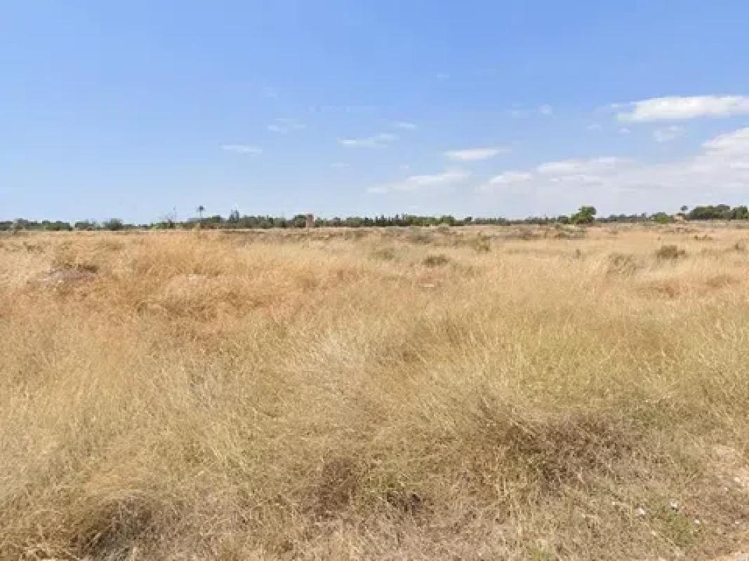 Land for sale in Mutxamel, Alicante photo 2