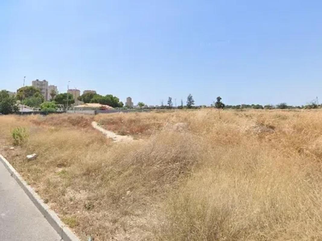 Land for sale in Mutxamel, Alicante photo 3