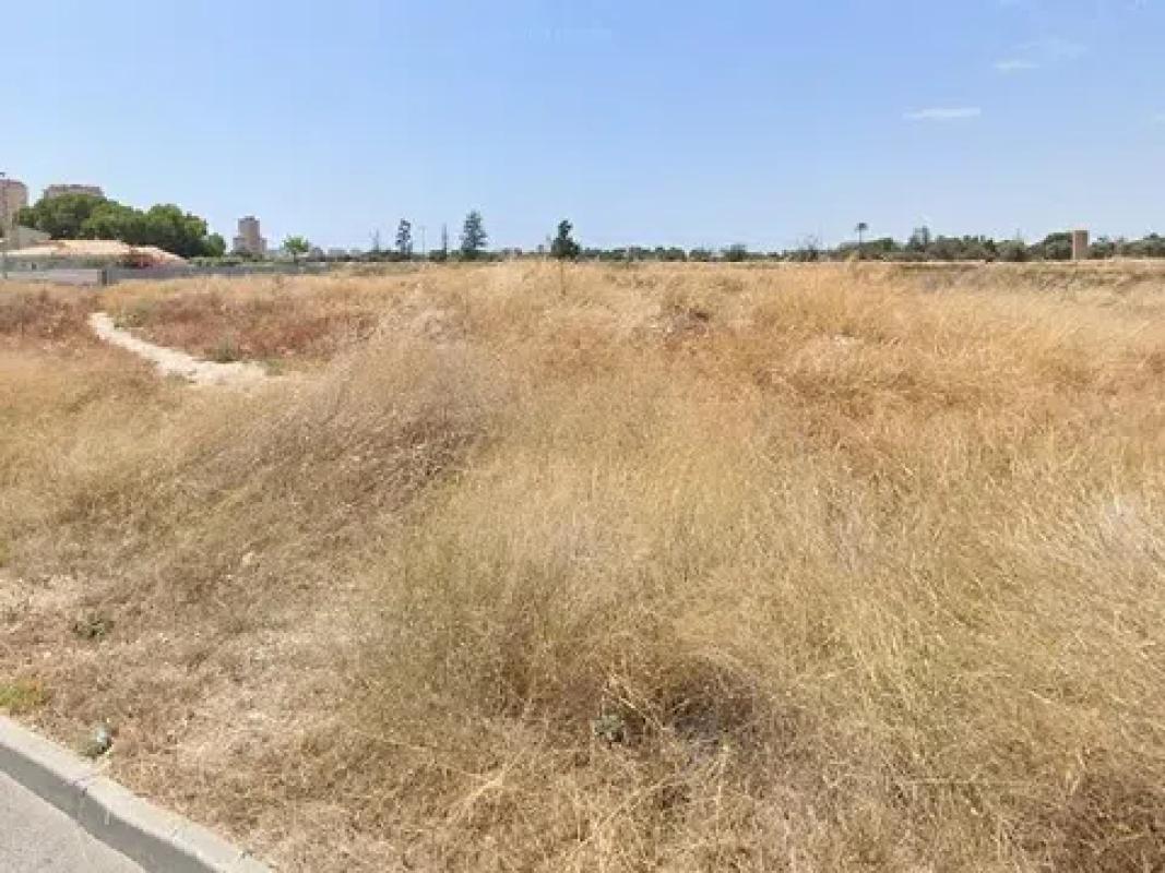 Land for sale in Mutxamel, Alicante photo 4