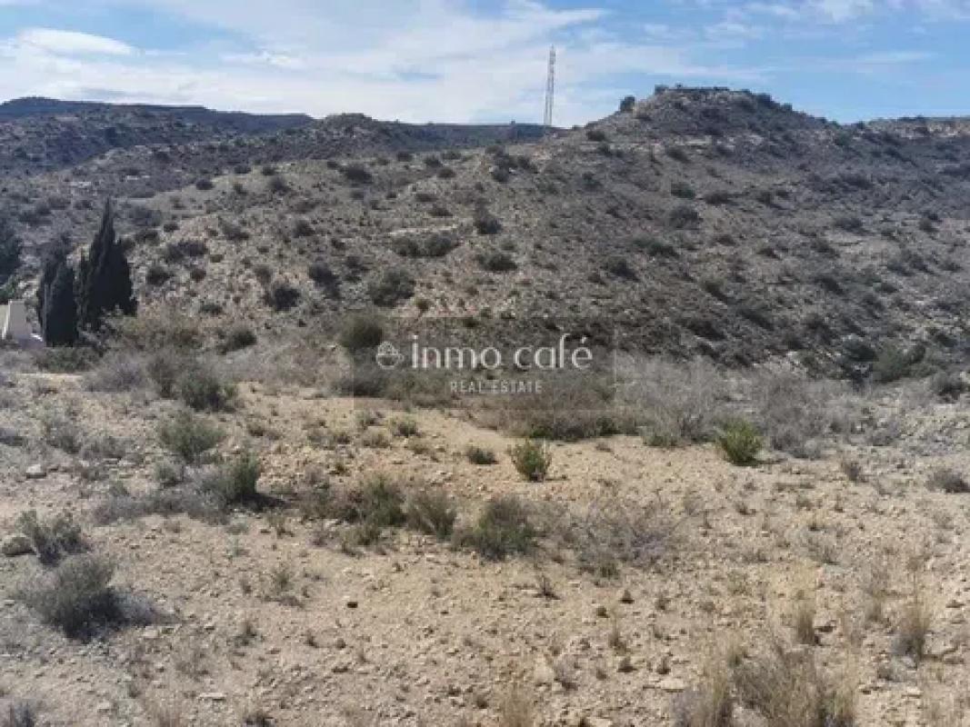 Działka na sprzedaż w Aspe, Alicante photo 2