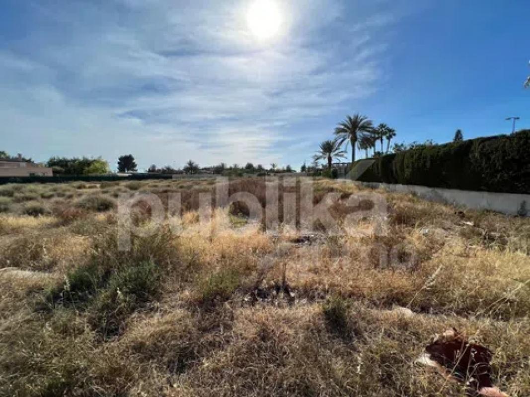 Terreno en venta en Elche / Elx, Alicante photo 5