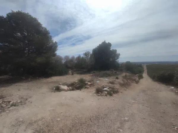 Terreno en canal de la pedrera, 2 photo 1