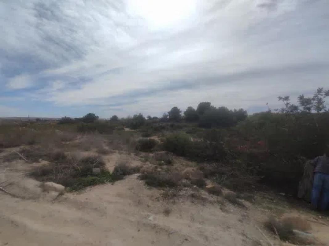 Terreno en venta en Los Montesinos, Alicante photo 2