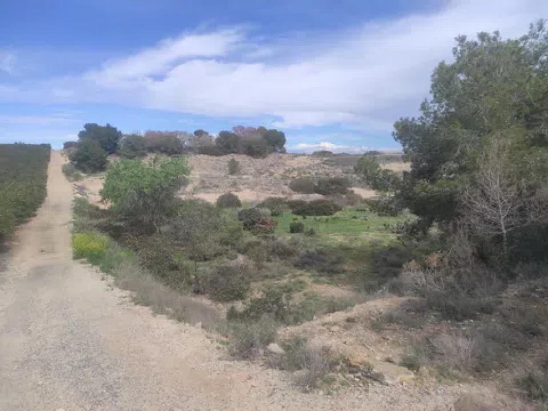 Terreno en venta en Los Montesinos, Alicante photo 5
