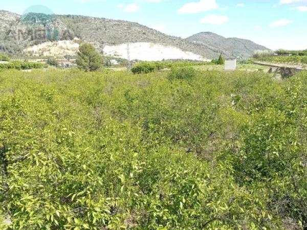 Terreno en Adsubia photo 1