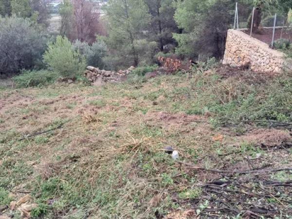 Terreno en plaza del Doctor Calatayud photo 2