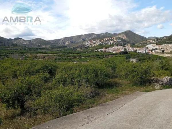 Terreno en Pego photo 1