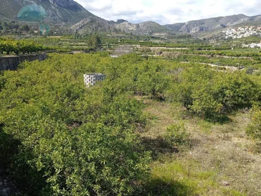 Land for sale in Pego, Alicante photo 3