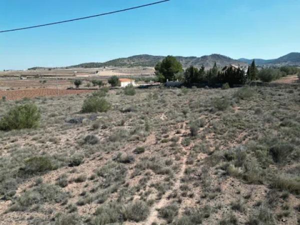 Terreno en Pinoso photo 2