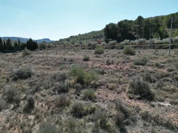 Terreno en Pinoso photo 3