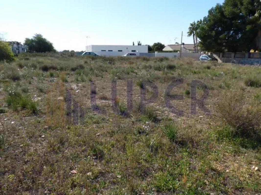 Działka na sprzedaż w San Vicente del Raspeig, Alicante photo 3