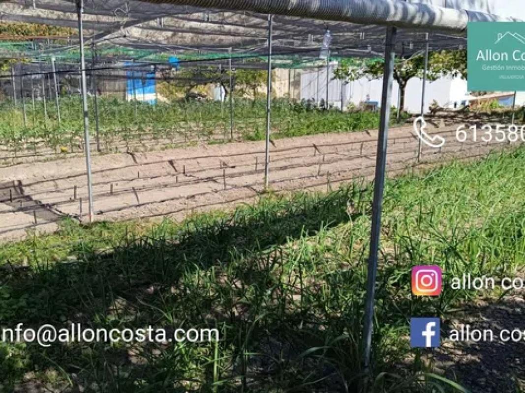 Działka na sprzedaż w Orxeta, Alicante photo 5