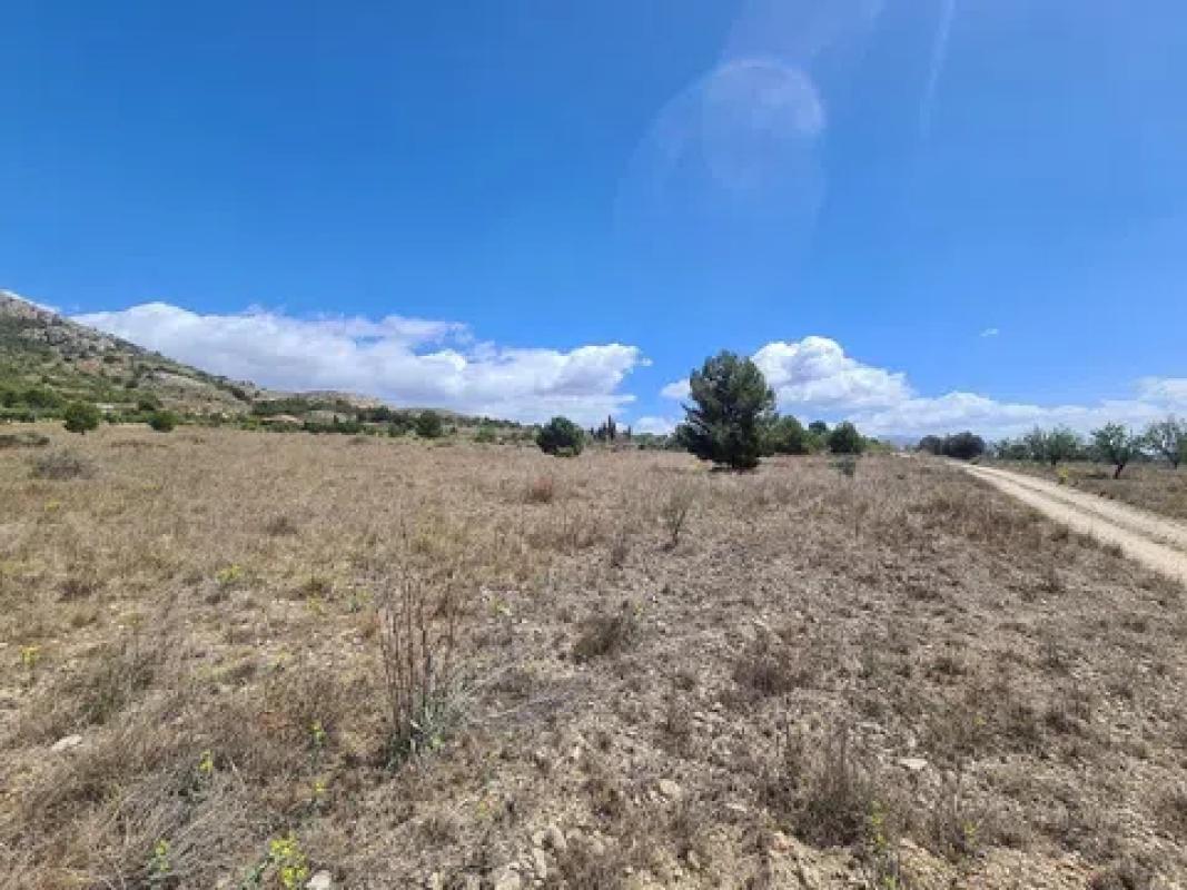 Terreno en venta en Sax, Alicante photo 3