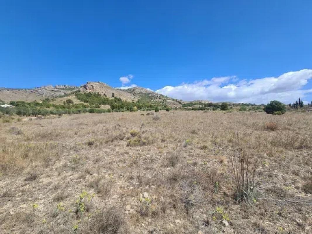 Terreno en venta en Sax, Alicante photo 4