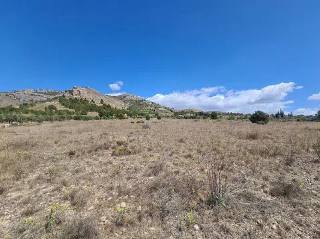 Terreno en venta en Sax, Alicante photo 5
