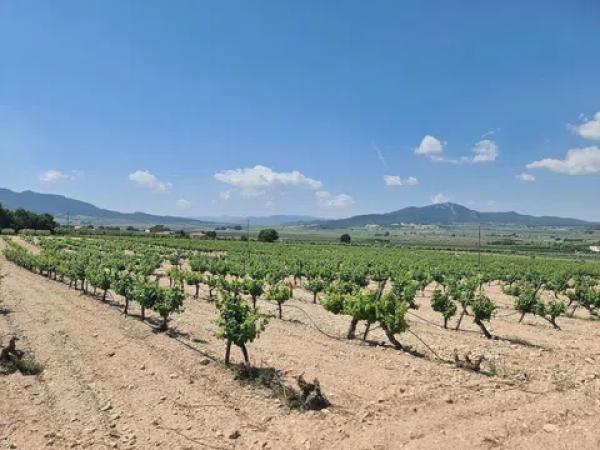 Terreno en Salinas photo 1
