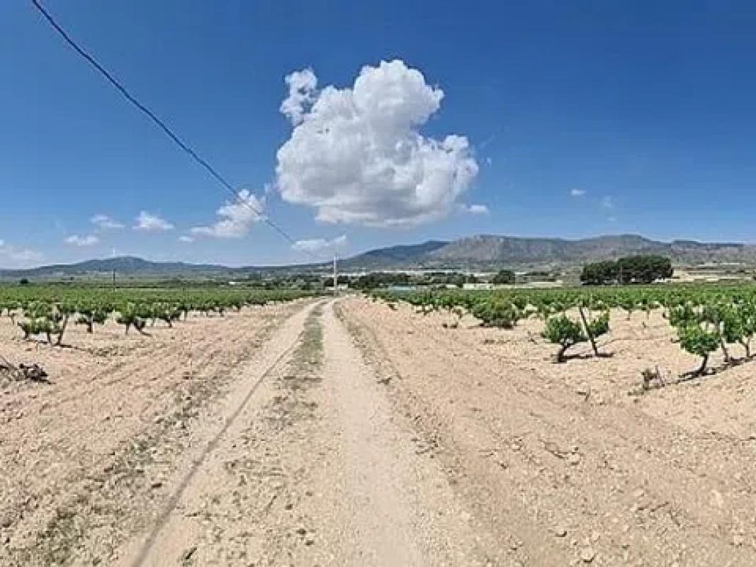 Land for sale in Salinas, Alicante photo 4