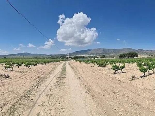 Terreno en Salinas photo 4