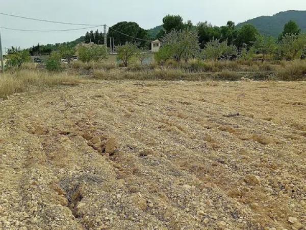 Terreno en Monovar photo 1