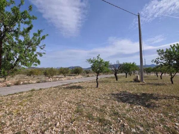 Terreno en Salinas photo 1