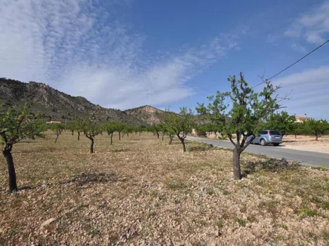 Land for sale in Salinas, Alicante photo 4
