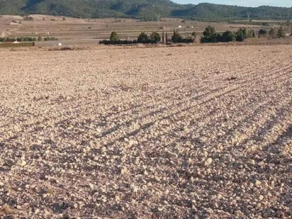 Terreno en Salinas photo 2