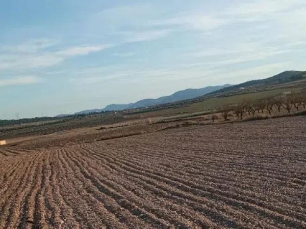 Terreno en Salinas photo 3