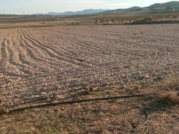 Terreno en Salinas photo 4