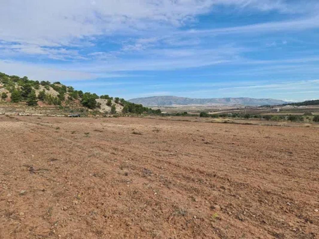 Terreno en venta en Pinoso, Alicante photo 2