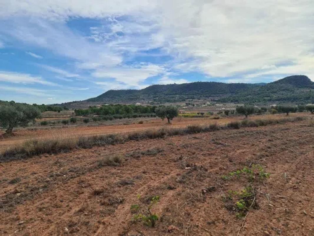 Terreno en venta en Pinoso, Alicante photo 3