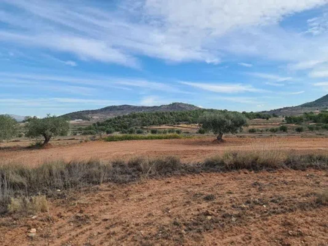 Terreno en venta en Pinoso, Alicante photo 4