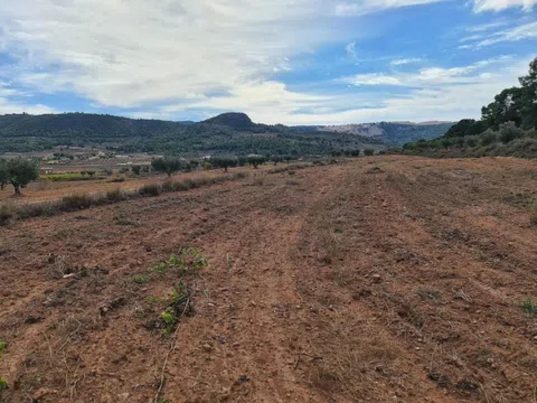 Terreno en venta en Pinoso, Alicante photo 5