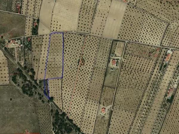 Terreno en Biar photo 1