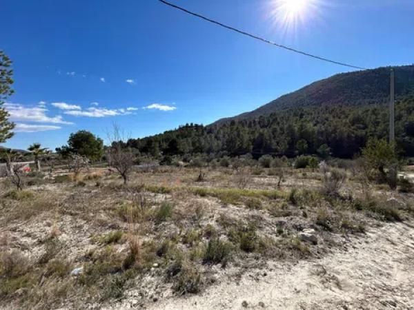 Terreno en Partida l'Atzubia, km 11 photo 1