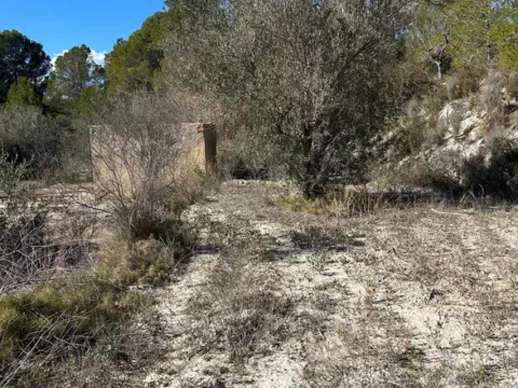Terreno en venta en Finestrat, Alicante photo 3