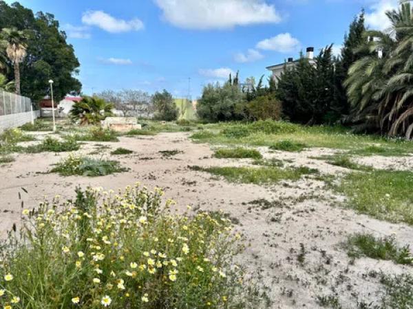 Terreno en calle Horaci photo 4