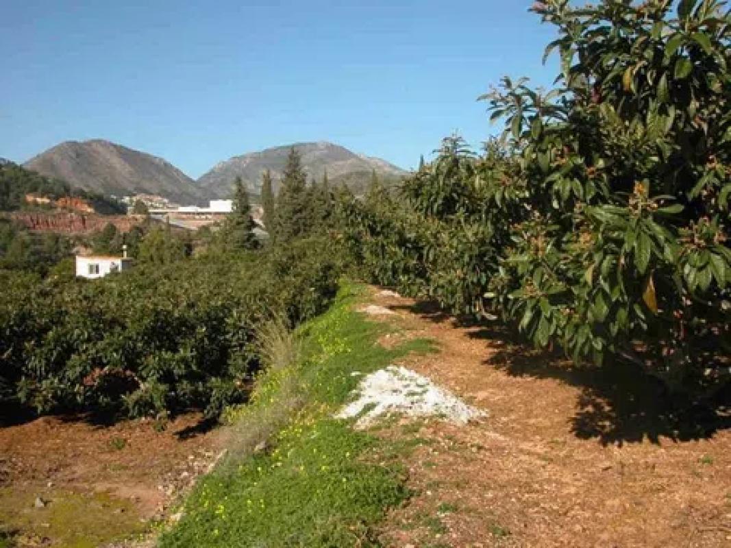 Działka na sprzedaż w Callosa d'En Sarria, Alicante photo 3