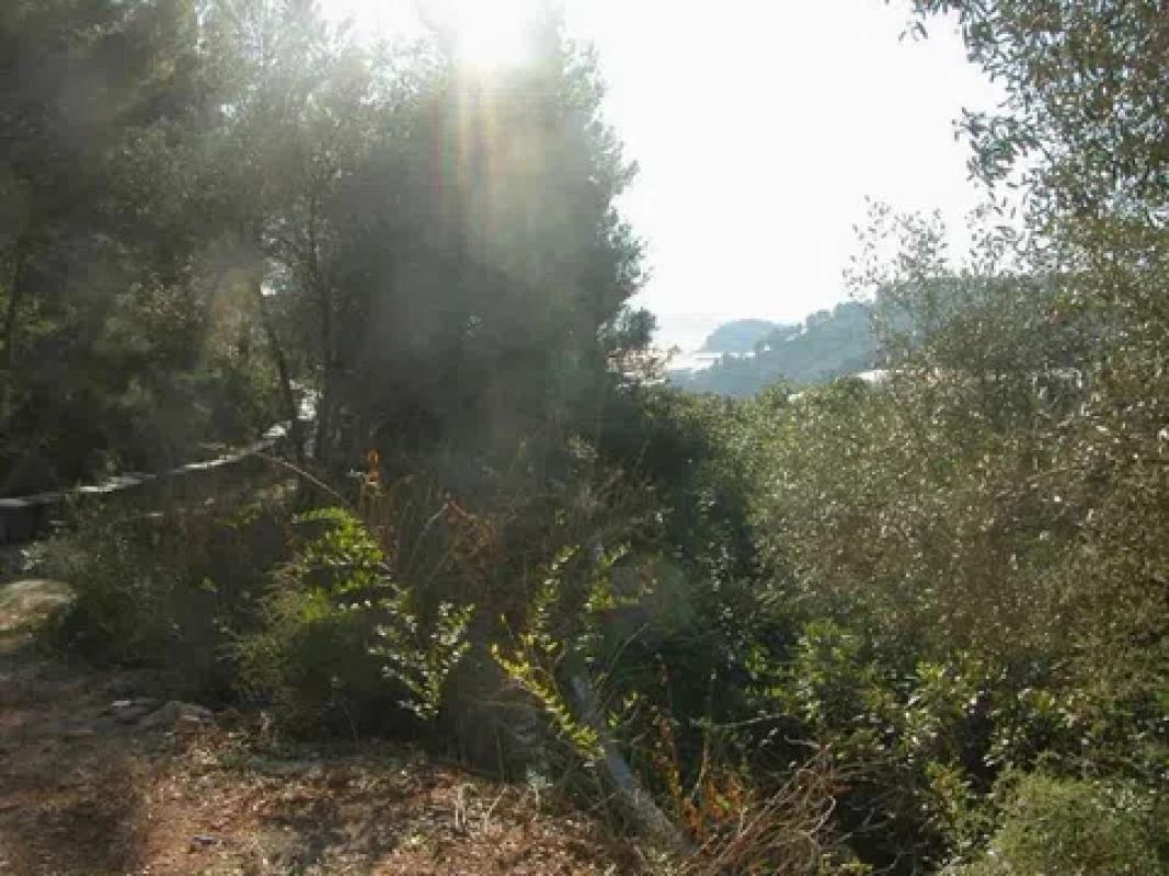Działka na sprzedaż w Callosa d'En Sarria, Alicante photo 4