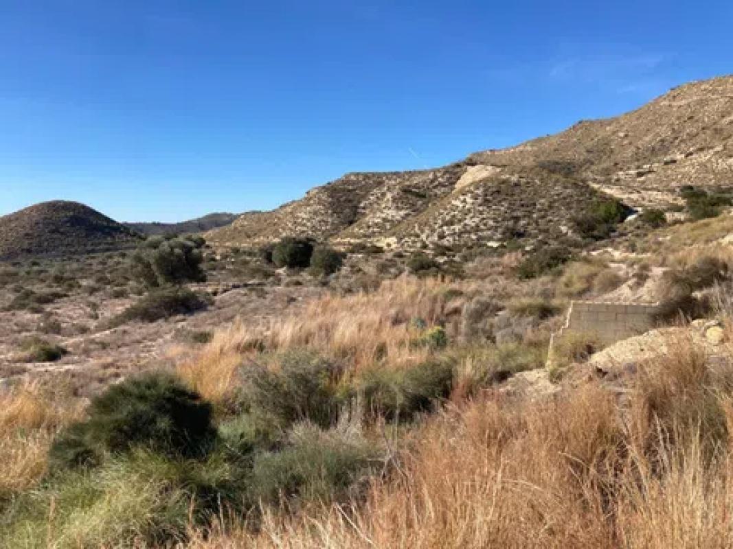 Terreno en venta en Busot, Alicante photo 4