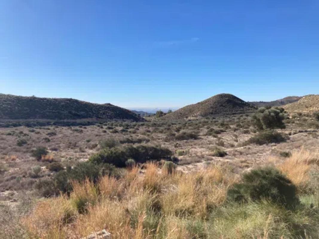 Terreno en venta en Busot, Alicante photo 5