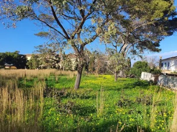 Terreno en Les Rotes/Las Rotas photo 1