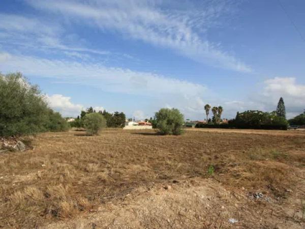 Terreno en Els Poblets photo 3