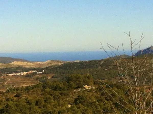 Terreno en Vall de Alcala photo 1