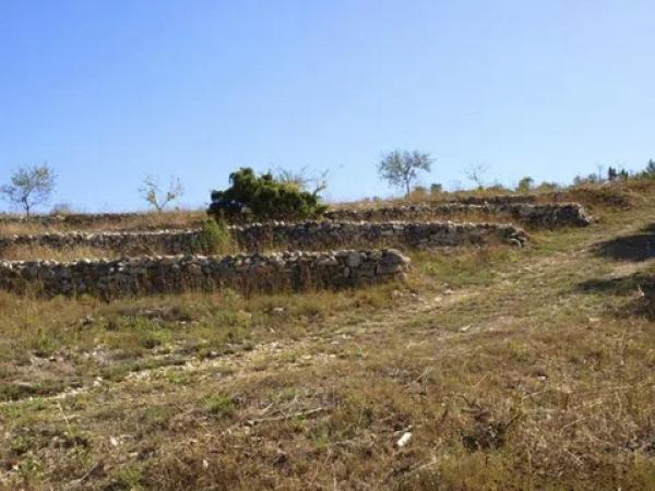 Terreno en Vall de Alcala photo 2