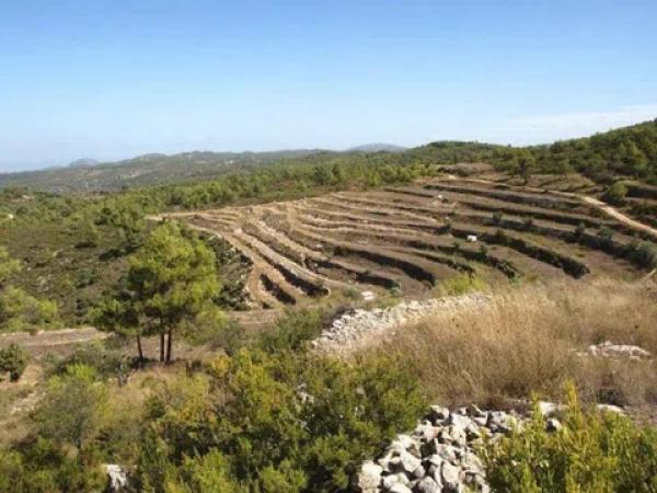 Terreno en Vall de Alcala photo 3