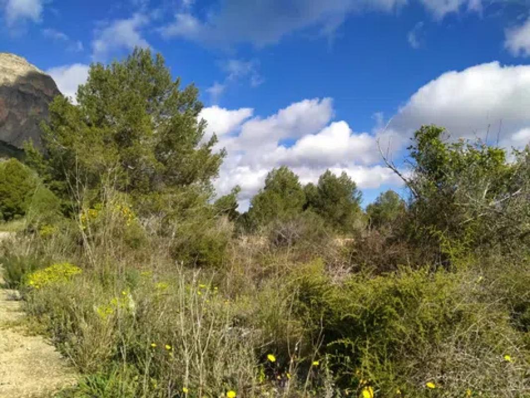 Terreno en venta en Polop, Alicante photo 5