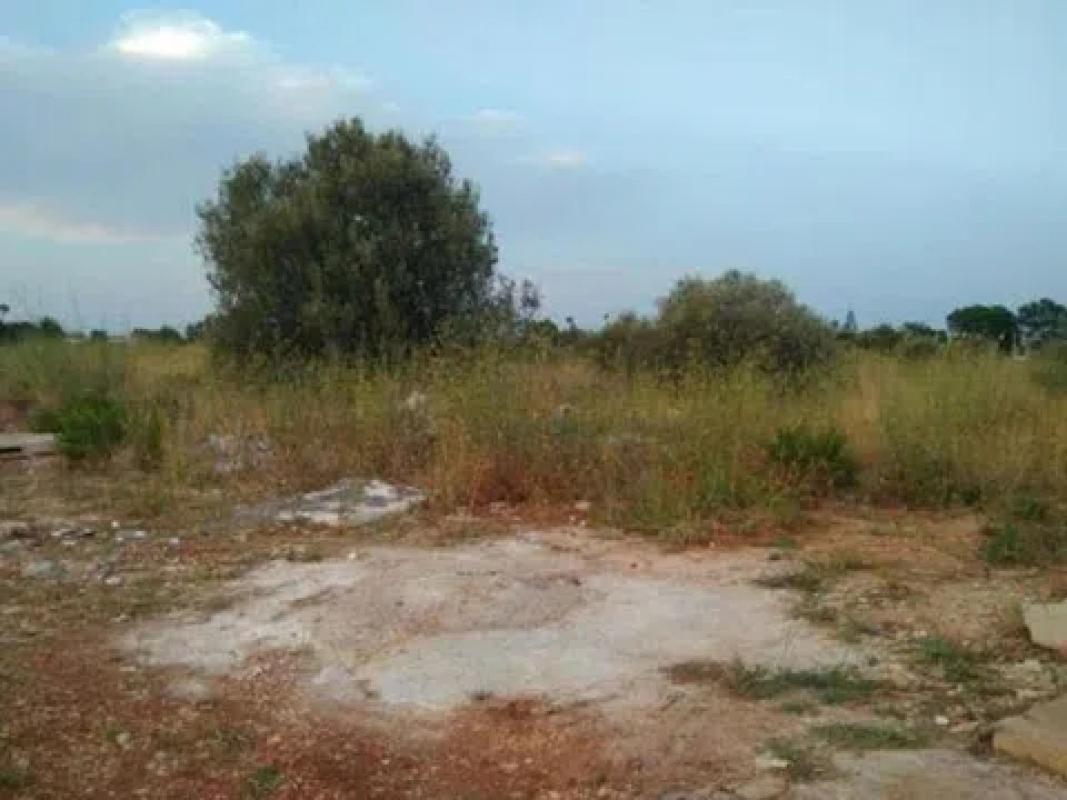 Land for sale in El Verger, Alicante photo 5