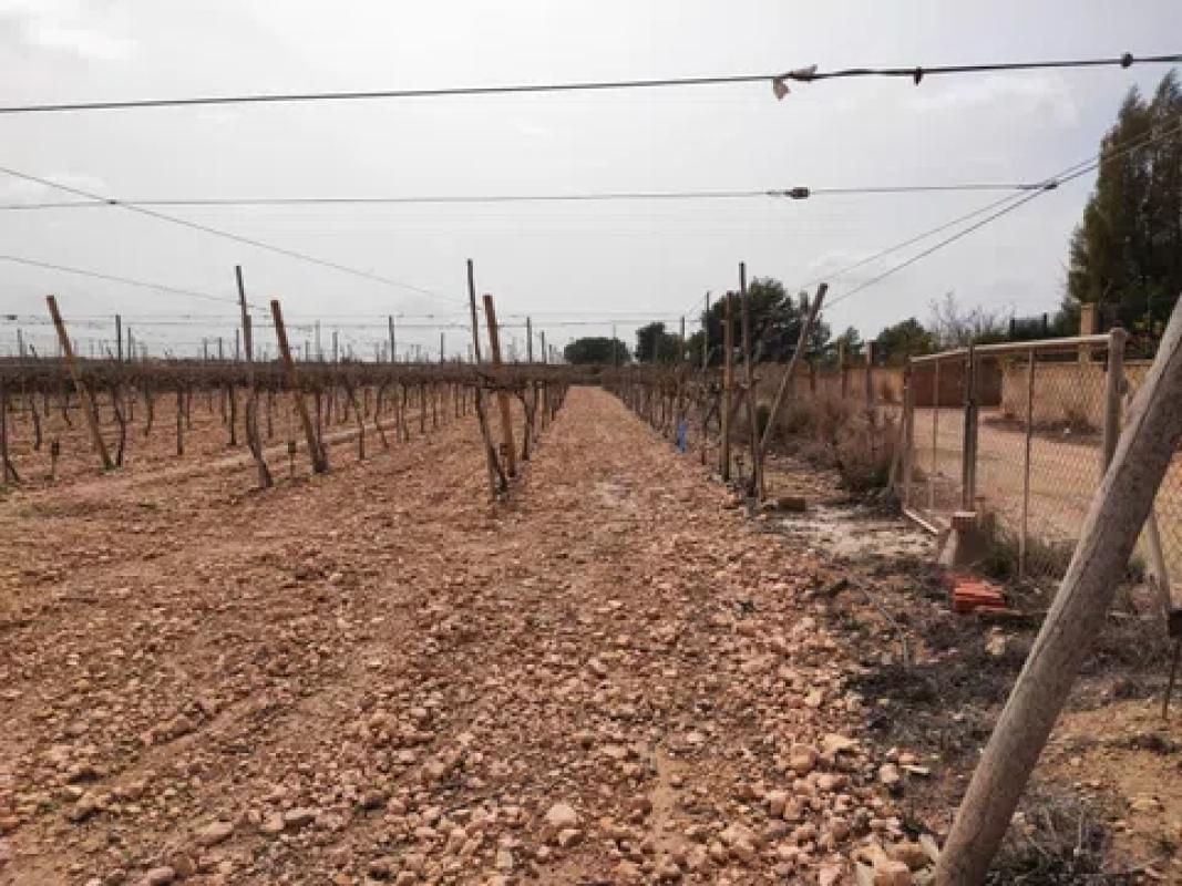 Działka na sprzedaż w Monforte del Cid, Alicante photo 4