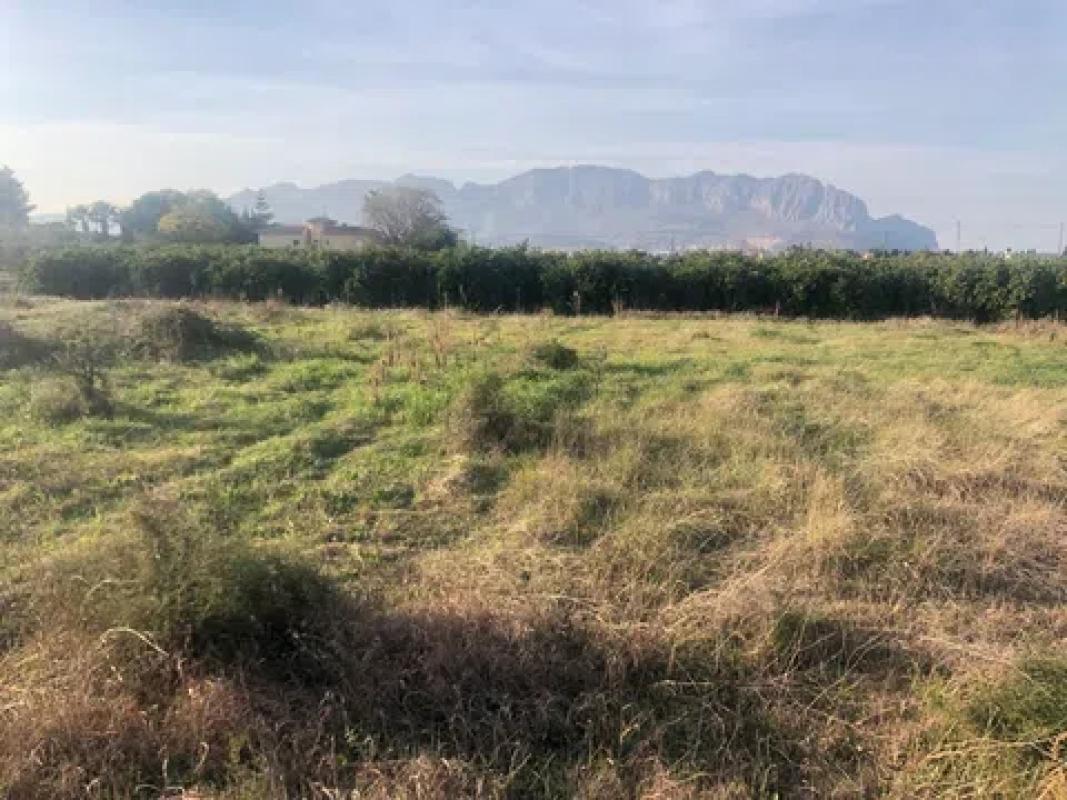 Land for sale in Pedreguer, Alicante photo 3